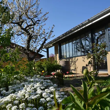 Familial 200m² Avec Jardin, Terrasse, Jeux, Et Confort Moderne A - Fr-1-496-203 Holiday home Chazelles-sur-Lyon